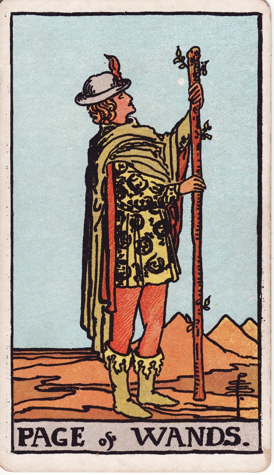 Paź Różdżek — tarot roczny