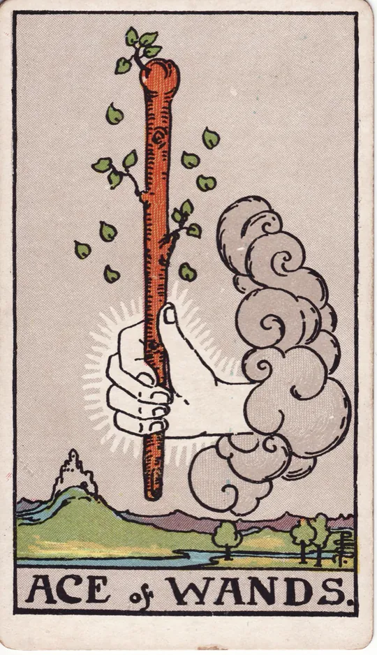 As Różdżek